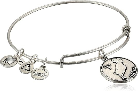 Zodiac II Expandable Wire Bangle Bracelet - Aries Bracelet for men