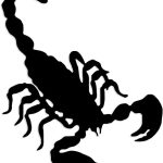 Scorpion Venom Sting Vinyl Decal Sticker – 5 Inch Tall Black Scorpio Logo Design for Cars, Laptops, and Windows – Durable, Weatherproof, Easy to Apply - Scorpio Sticker for men