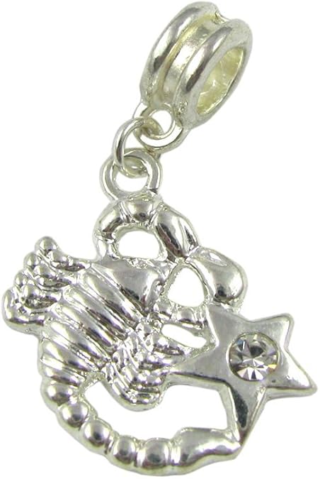 Universal Scorpion Zodiac Sign Scorpio Charm - Scorpio Accessories for men