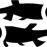 Ranger Products Pisces Zodiac Sign (b) - Astrology Car Decal Window Sticker (White Color Decal) - Die Cut Decal Bumper Sticker for Windows, Cars, Trucks, Laptops, Etc. - Pisces Car Accessories for men