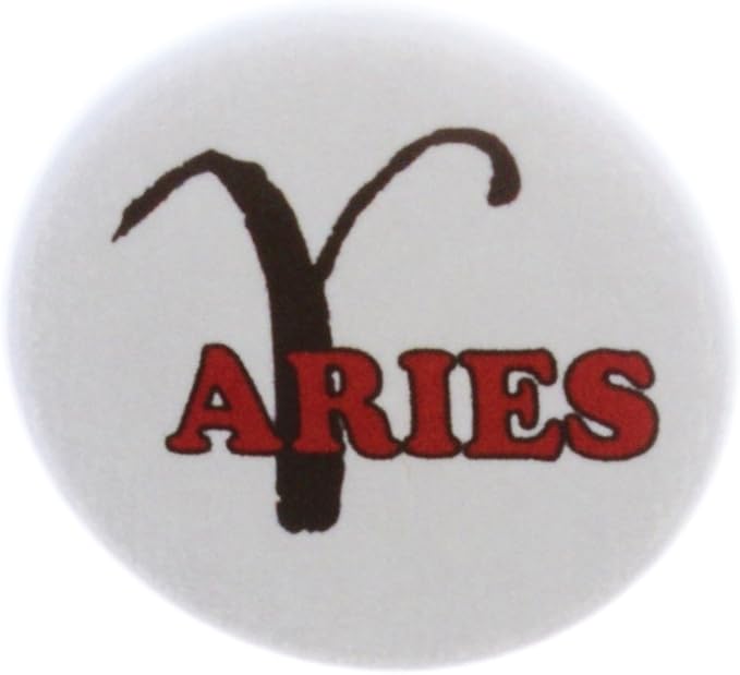 Aries 2.25" Keychain Zodiac Horoscope Astrological Sign Symbol - Aries Keychain for men