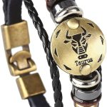 Hamoery - Taurus Earrings for men