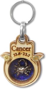 My Daily Styles - Cancer Keychain for men