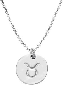 925 Sterling Silver Zodiac Necklace Disc Charm Necklace Gift for Your Wife Girlfriend or Family Member - Taurus Products for men