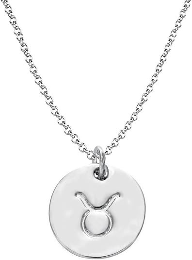 925 Sterling Silver Zodiac Necklace Disc Charm Necklace Gift for Your Wife Girlfriend or Family Member - Taurus Products for men