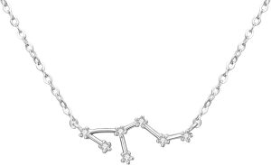 BriLove - Leo Necklace for men