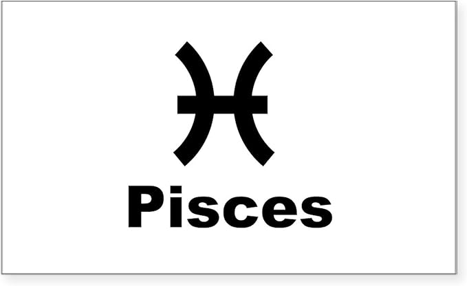 CafePress Pisces Sign Rectangle Sticker Rectangle Bumper Sticker Car Decal - Pisces Car Accessories for men