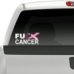 2 FU Cancer Pink Ribbon 8'' Decals FCK Breast Cancer Vinyl Vehicle Decal Stickers (Pink (2 Decals)) - Cancer Car Accessories for men