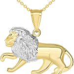 Jewelry America - Leo Necklace for men
