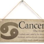 Meijiafei Cancer The Crab - Beautiful Spiritual Gift Astrology Sign of the Zodiac Plaque 10"x5" - Pisces Home Decor for men