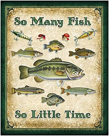 So Many Fish Novelty Sign | Indoor/Outdoor | Funny Home Décor for Garages, Living Rooms, Bedroom, Offices | SignMission Personalized Gift Wall Plaque Decoration - Pisces Home Decor for men
