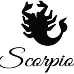 Newclew Zodiac Scorpio Lucky Birth Sign Any Color Decal Notebook Car Laptop Art Vinyl Bumper Sticker Decal - Scorpio Sticker for men