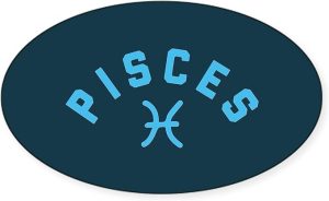 CafePress Pisces Oval Car Bumper Sticker - Pisces Car Accessories for men