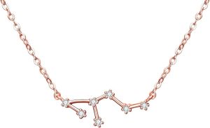 BriLove - Leo Necklace for men