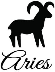 Newclew Zodiac Aries Lucky Birth Sign Any Color Decal Notebook Car Laptop Art Vinyl Bumper Sticker Decal - Aries Sticker for men