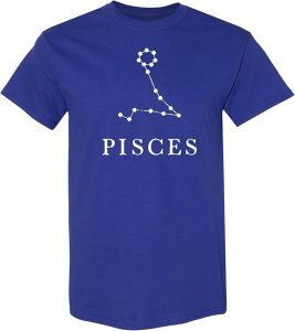 UGP Campus Apparel - Pisces T-Shirt for men