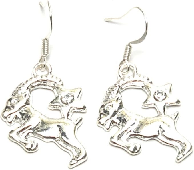 Fashion Trendy Zodiac Sign Dangle Earrings For Women / - Aries Earrings for men