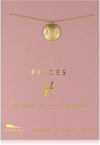 Lucky Feather Zodiac Necklace - 14K Gold-Dipped Constellation Pendant Necklace - Zodiac Sign Birthday Gifts for Women and Girls with Adjustable 16" - 18" Chain - Pisces for men