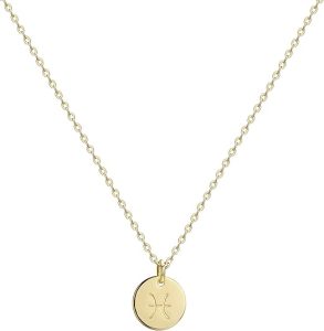 Befettly Constellation Necklace Pendant 14K Gold-Plated Hammered Round Disc Engraved Zodiac Sign Pendant 17.5’’ Adjustable Dainty Necklace - Pisces for men