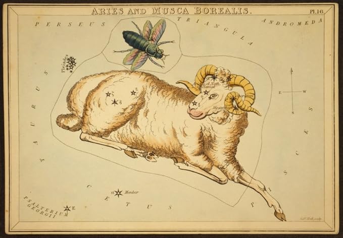 Aries Constellation Zodiac Sign 1825 Poster Print by Science Source (24 x 18) - Aries Poster for men