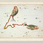 Astrology Posters - Pisces Zodiac Antique Constellation Poster - 11x14 Unframed Art Print - Great Vintage Zodiac Poster, Astrology and Aptitude Vintage Home Wall Decor for Astrology Enthusiasts - Pisces Canvas for men