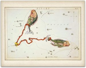 Astrology Posters - Pisces Zodiac Antique Constellation Poster - 11x14 Unframed Art Print - Great Vintage Zodiac Poster, Astrology and Aptitude Vintage Home Wall Decor for Astrology Enthusiasts - Pisces Canvas for men