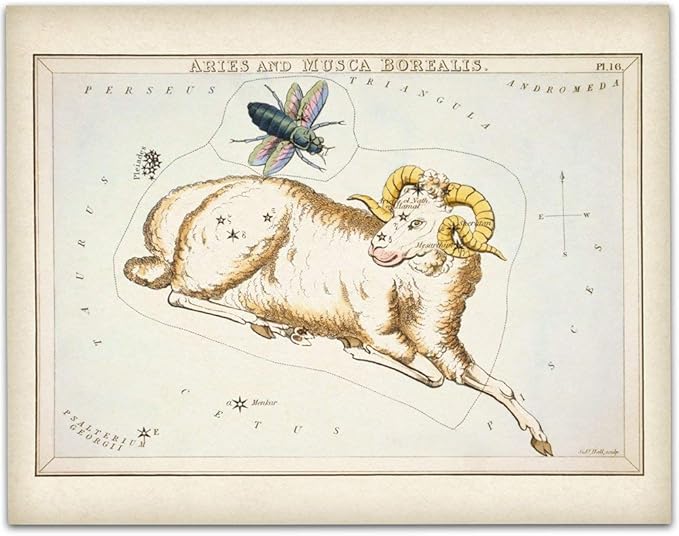 Astrology Posters - Aries Zodiac Antique Constellation Poster - 11x14 Unframed Art Print - Great Vintage Zodiac Poster, Astrology and Aptitude Vintage Home Wall Decor for Astrology Enthusiasts - Aries Poster for men