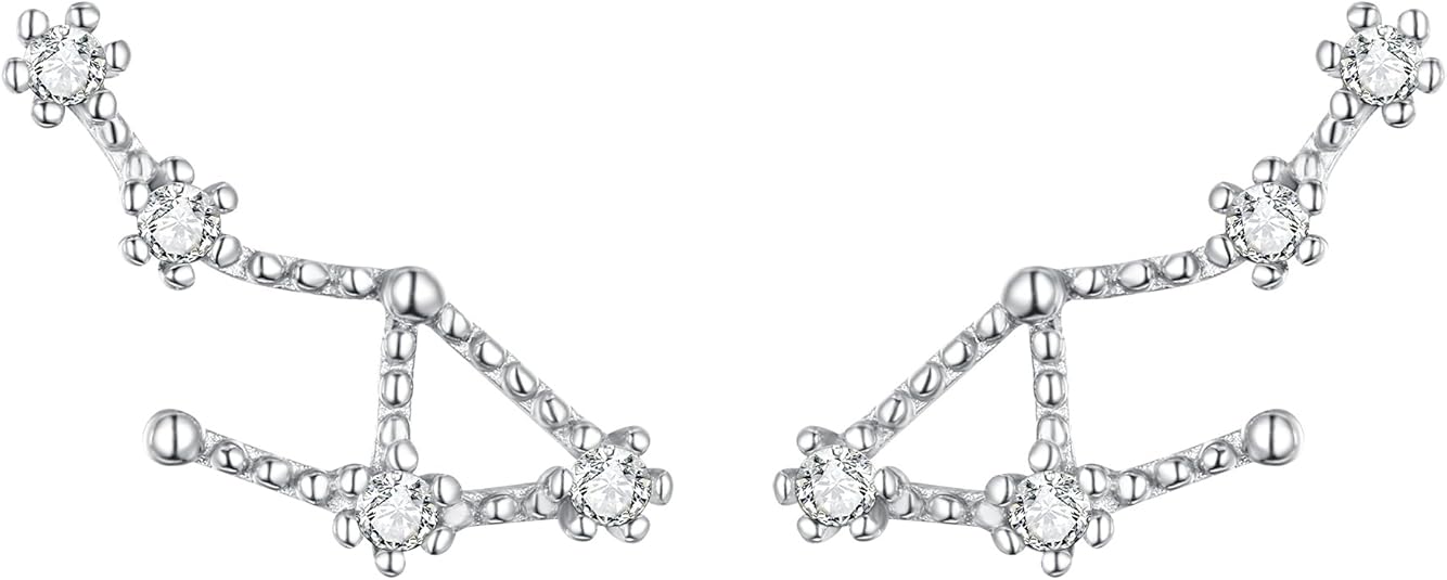 BriLove - Virgo Earrings for men