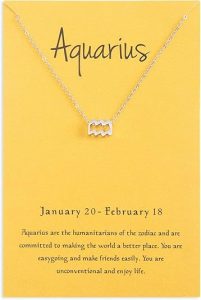 Zealmer - Aquarius Necklace for men