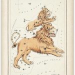Astrology Posters - Leo Zodiac Constellation - 11x14 Unframed Print - Vintage Zodiac Poster, Astrology and Aptitude Vintage Home Wall Decor for Astrology Enthusiasts, Leo Constellation Wall Art - Leo Canvas for men
