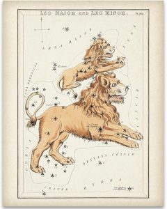 Astrology Posters - Leo Zodiac Constellation - 11x14 Unframed Print - Vintage Zodiac Poster, Astrology and Aptitude Vintage Home Wall Decor for Astrology Enthusiasts, Leo Constellation Wall Art - Leo Canvas for men
