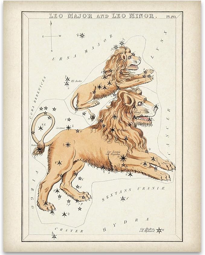 Astrology Posters - Leo Zodiac Constellation - 11x14 Unframed Print - Vintage Zodiac Poster, Astrology and Aptitude Vintage Home Wall Decor for Astrology Enthusiasts, Leo Constellation Wall Art - Leo Canvas for men
