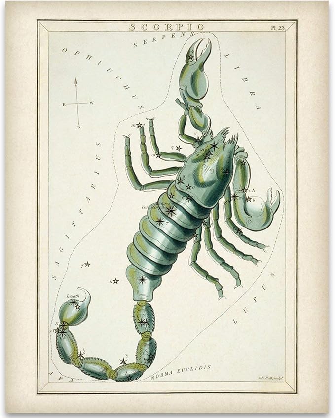 Astrology Posters - Scorpio Zodiac Antique Constellation Plate - 11x14 Unframed Art Print - Great Vintage Zodiac Poster, Astrology and Aptitude Vintage Home Wall Decor for Astrology Enthusiasts - Scorpio Canvas for men