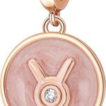 PAIYUAN - Taurus Earrings for men