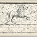 Astrology Posters - Leo the Lion 1822 Zodiac Sign - 11x14 Unframed Print - Vintage Zodiac Poster, Astrology and Aptitude Vintage Home Wall Decor for Astrology Enthusiasts, Leo Constellation Wall Art - Leo Canvas for men