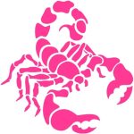 Scorpio Zodiac Vinyl Sticker Decals (Pack of 2) for Car Bumper Window Laptop Tablet Phone (4" x 4", HOT Pink) - Scorpio Sticker for men