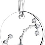 YL Women's Constellation Necklace Sterling Silver Zodiac Jewelry Astrology Coin Horoscope Pendant - Scorpio Products for men