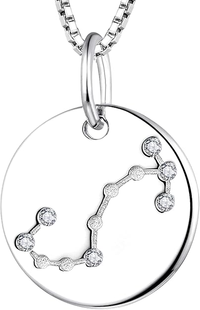 YL Women's Constellation Necklace Sterling Silver Zodiac Jewelry Astrology Coin Horoscope Pendant - Scorpio Products for men