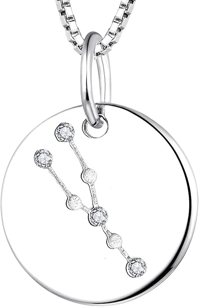 YL Women's Constellation Necklace Sterling Silver Zodiac Jewelry Astrology Coin Horoscope Pendant - Taurus Products for men