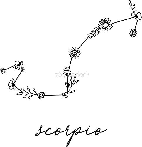 Scorpio Zodiac Wildflower Constellation - Sticker Graphic - Auto, Wall, Laptop, Cell, Truck Sticker for Windows, Cars, Trucks - Scorpio Sticker for men