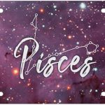 Gorgeous Zodiac Horoscope Sign Novelty License Plate (Pisces, Standard) - Pisces Car Accessories for men