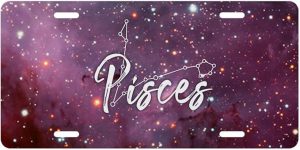Gorgeous Zodiac Horoscope Sign Novelty License Plate (Pisces, Standard) - Pisces Car Accessories for men
