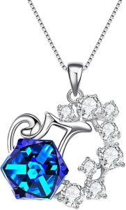 EleQueen - Aquarius Necklace for men