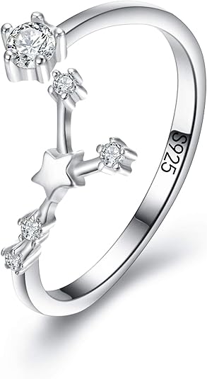 Women's 925 Sterling Silver Cubic Zirconia Horoscope Zodiac 12 Constellat Ring Collection Birthday Gift, Valentine's Day/Mother's Day/Christmas Jewelry Gift - Aries Earrings for men
