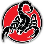 DG Graphics Scorpio Animal Label Art Decor 5'' x 5'' Vinyl Decal Sticker Wall Window Any Smooth Surface - Scorpio Sticker for men