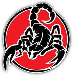 DG Graphics Scorpio Animal Label Art Decor 5'' x 5'' Vinyl Decal Sticker Wall Window Any Smooth Surface - Scorpio Sticker for men