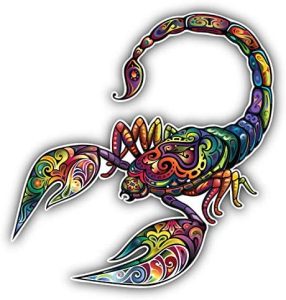 KW Vinyl Patterned Scorpio Animal Truck Car Window Bumper Sticker Decal 5" - Scorpio Sticker for men