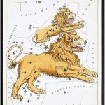 YELLOWBIRD ART & DESIGN Vintage Leo Astrological Zodiac Chart - Ready to Frame (8x10) Photo - Great Gift and Chic Home Decor - Leo Canvas for men