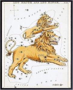 YELLOWBIRD ART & DESIGN Vintage Leo Astrological Zodiac Chart - Ready to Frame (8x10) Photo - Great Gift and Chic Home Decor - Leo Canvas for men