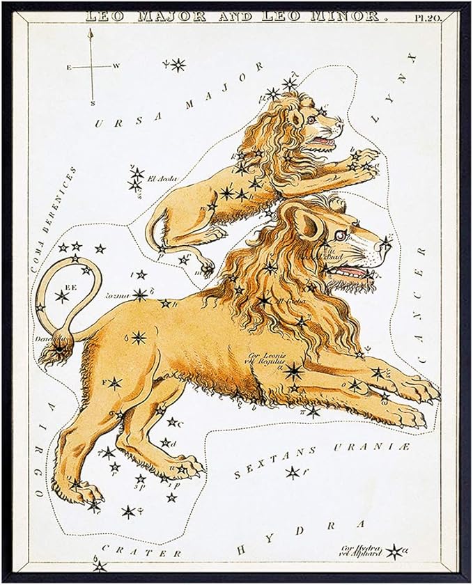 YELLOWBIRD ART & DESIGN Vintage Leo Astrological Zodiac Chart - Ready to Frame (8x10) Photo - Great Gift and Chic Home Decor - Leo Canvas for men